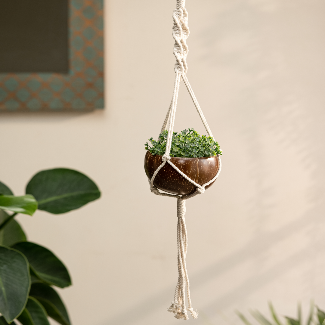 Thenga Coconut Shell Macrame Planter Pots with Hanger | Eco-Friendly Pots ( Set of 1...)